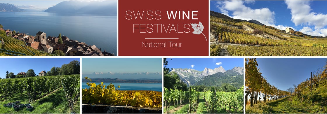 Banner-web-Swiss-Wine-Festivals